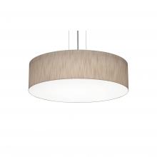 AFX Lighting, Inc. ANP1932LAJUDBK-JT - Anton 19'' LED Pendant - BK and JT