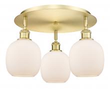 Innovations Lighting 516-3C-SG-G101 - Belfast - 3 Light - 18 inch - Satin Gold - Flush Mount