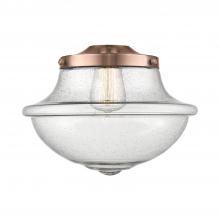 Innovations Lighting G544 - Large Oxford Seedy Glass