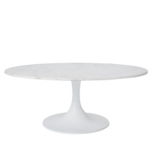 Renwil TA475 - Joselyn Indoor Cast Aluminum Oval Coffee Table, White