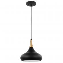 Nuvo 60/7511 - Phoenix; 1 Light; Small Pendant; Matte Black with Burnished Brass