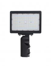 Nuvo 65/619 - LED Flood Light; 150 Watt; 4000K; Bronze Finish